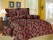 Buckingham Wine 7 Piece Comforter set