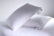 Green's of Bournemouth Premium Natural Bolster Pillows