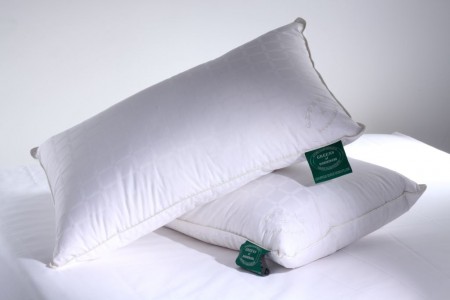 Arctic Goose Down Pillow