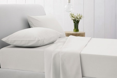 500 thread count Snow by Sheridan
