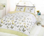 Flutter Lemon by Rapport