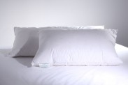 Microdown Pillow